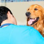 dog behaviors after deworming