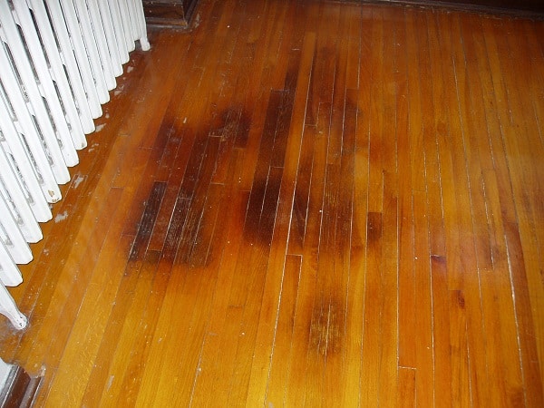 How To Get Rid Of Dog Urine Smell In, How Do You Remove Pet Urine Smell From Hardwood Floors