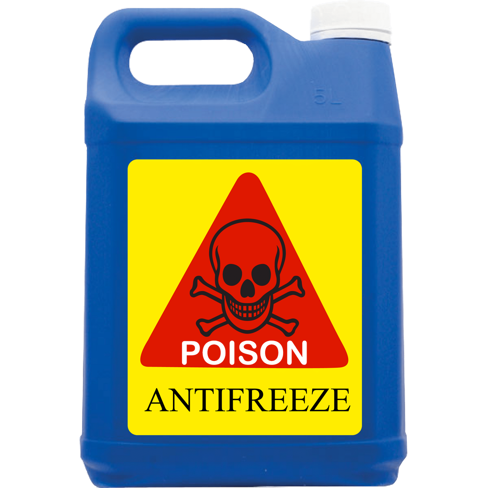 antifreeze poisoning in dogs