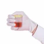 Blood in Dog Urine