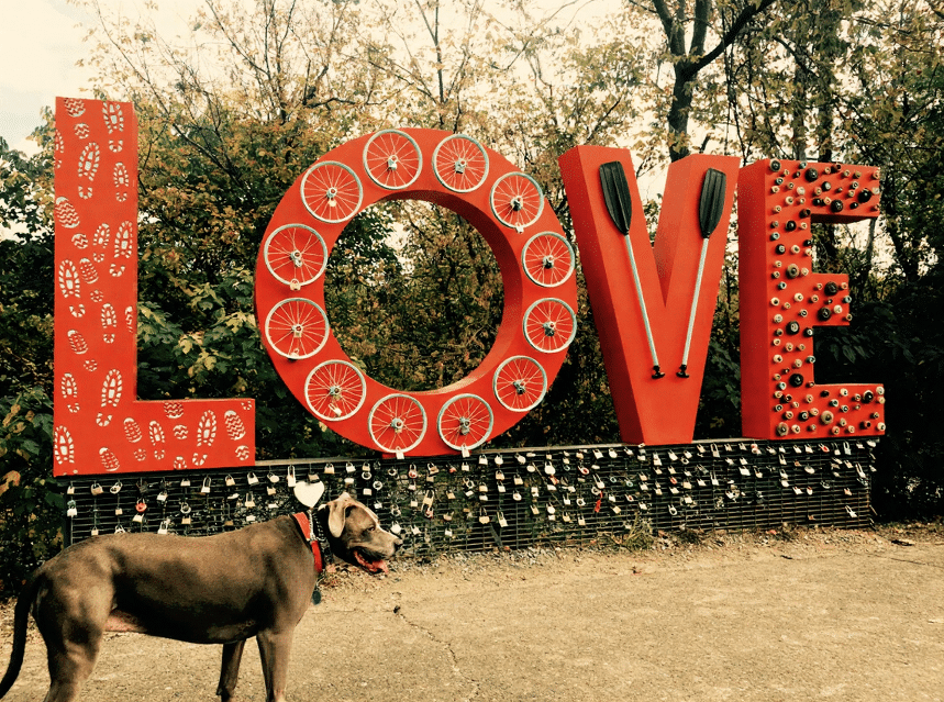 Chloe standing next to a large red 'LOVE' sculpture, representing her background as a shelter rescue and our site's commitment to pet adoption and shelter advocacy.