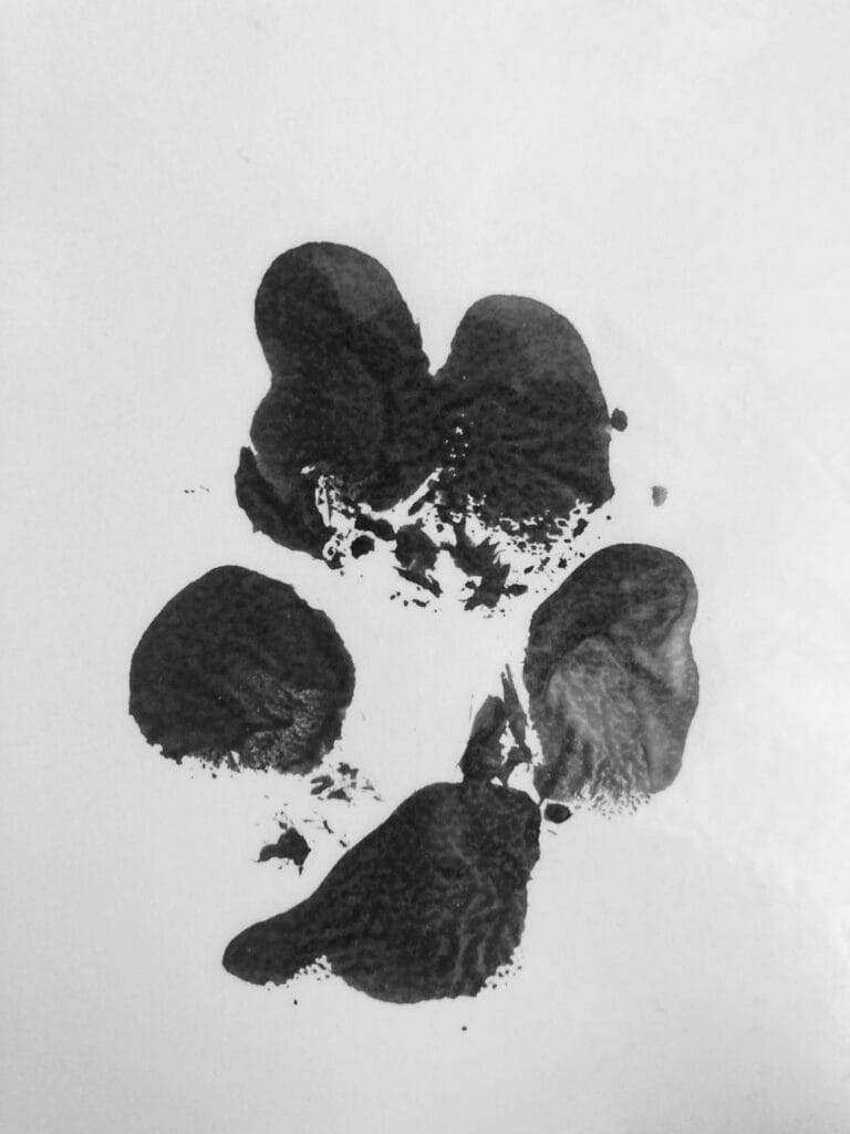 Ink paw print of my dog Chloe, taken after her passing in 2025